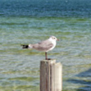 Meet your Posher, Jill